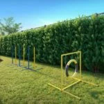 Pet place do Boa Vista Country Club, em Boa Vista, Porto Alegre